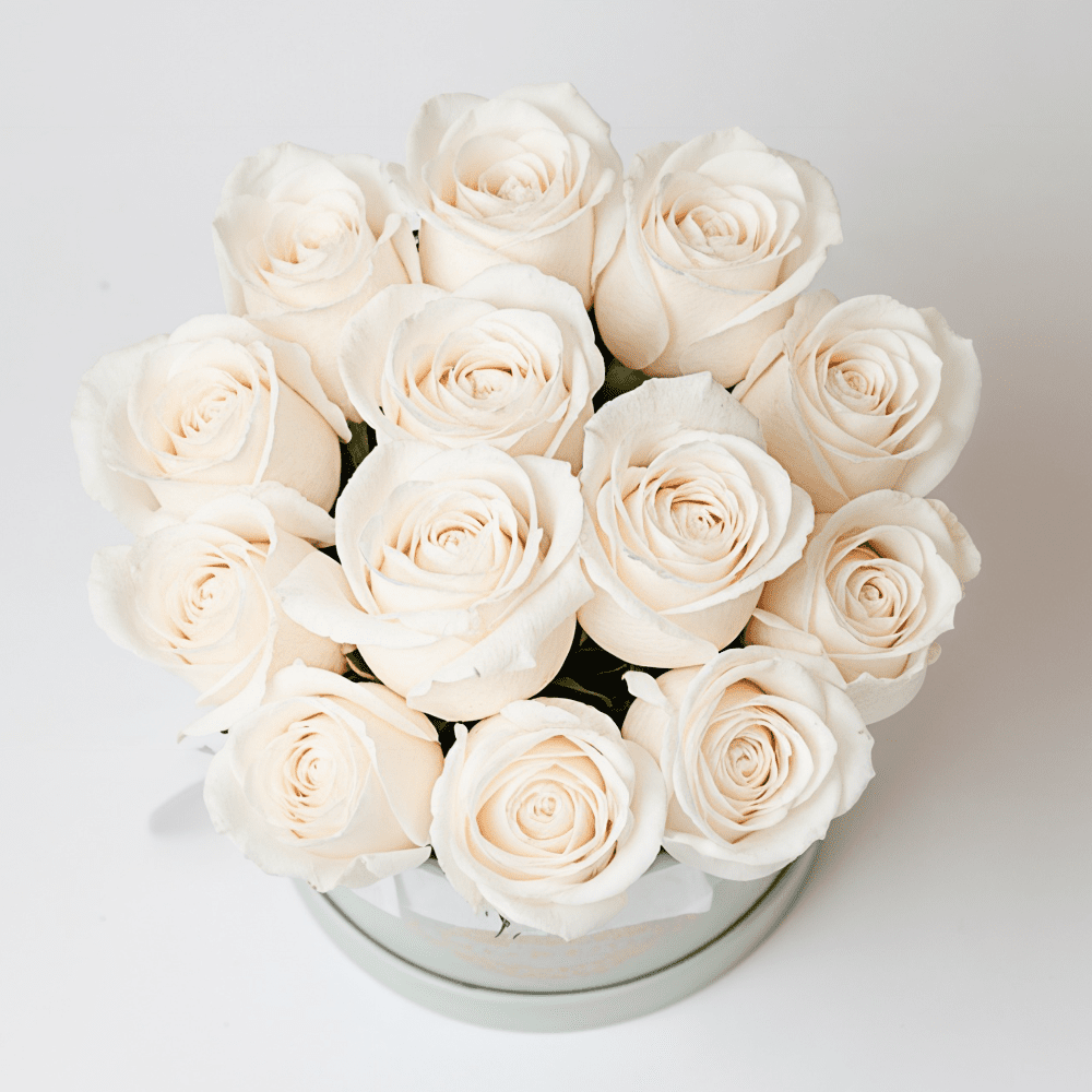 AMOROSSA - LAVAN 12 - Elegant arrangement of 12 white roses in a gray round box for regalar flores and enviar flores with delivery rapido de.