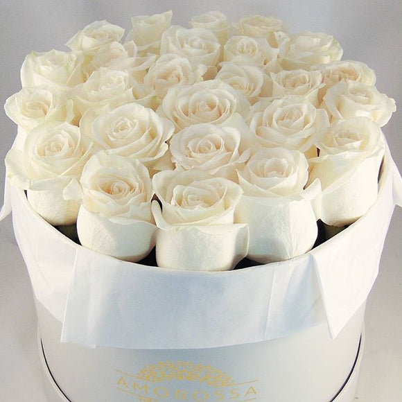 AMOROSSA - LAVAN 24 - Elegant gray box with 24 creamy white roses, perfect for regalar flores or mandar rosas with fast delivery and floristeria.