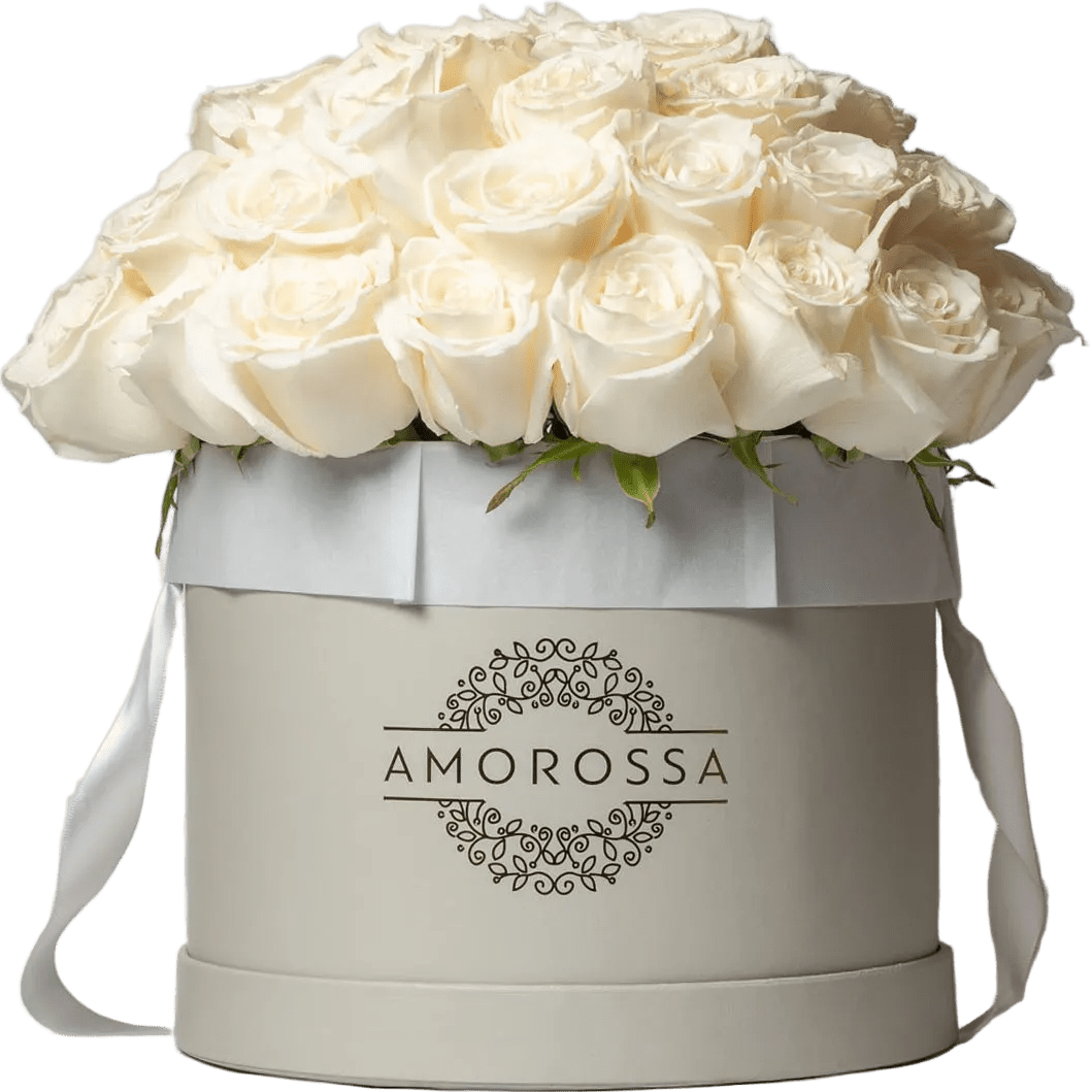 AMOROSSA - LAVAN 48 - Elegant bouquet of 48 white roses in a luxury gray Amorossa box, perfect for regalar flores and delivery rapido de flores.