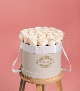 AMOROSSA - LAVAN 24 - Elegant white roses arranged in a round gray box with ribbon handles for regalar flores and enviar flores delivery rapido de .