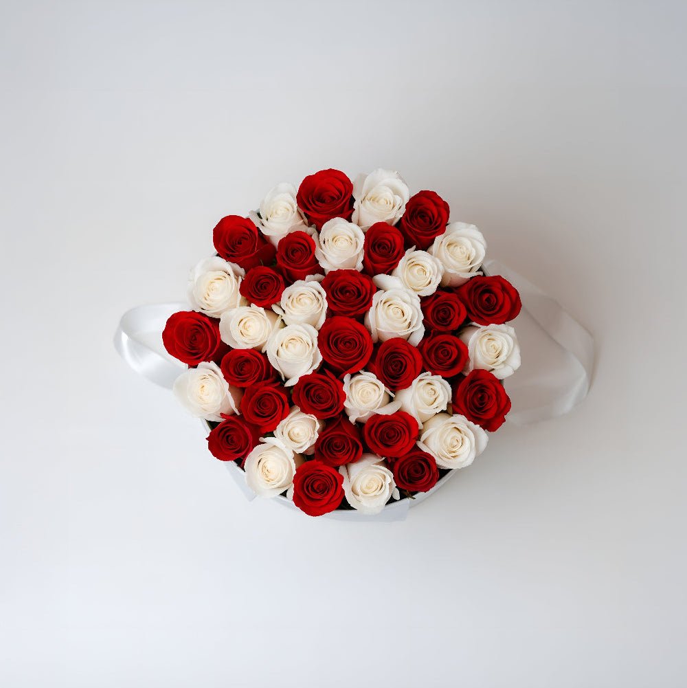 AMOROSSA - LAVANADOM 24 - Round arrangement of 24 red and white roses in a gray box for Regalar Flores and mandar Rosas delivery.