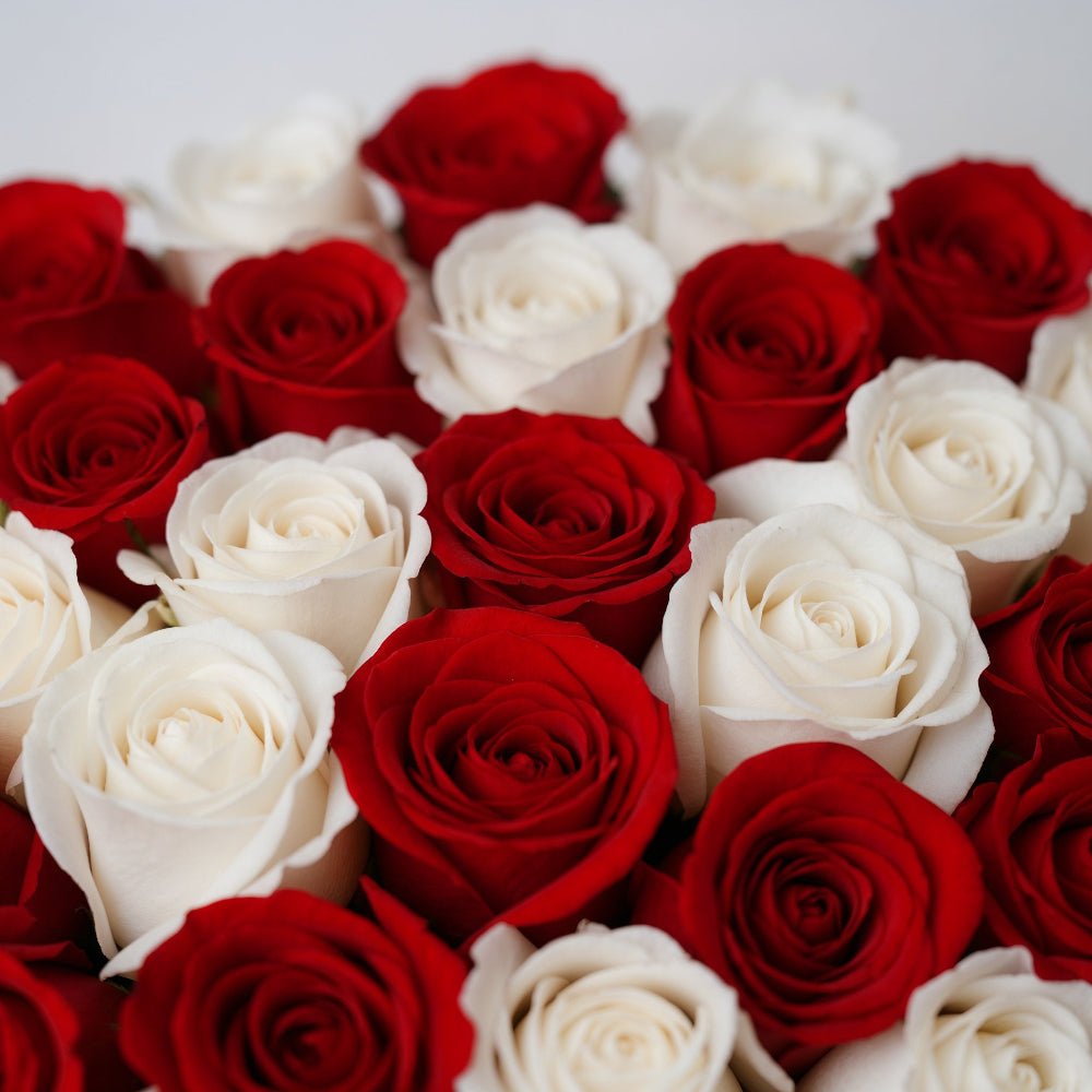 AMOROSSA - LAVANADOM 24 - Box of 24 red and white roses arranged for regalar flores, mandar rosas, and delivery rapido de flores from floristeria.