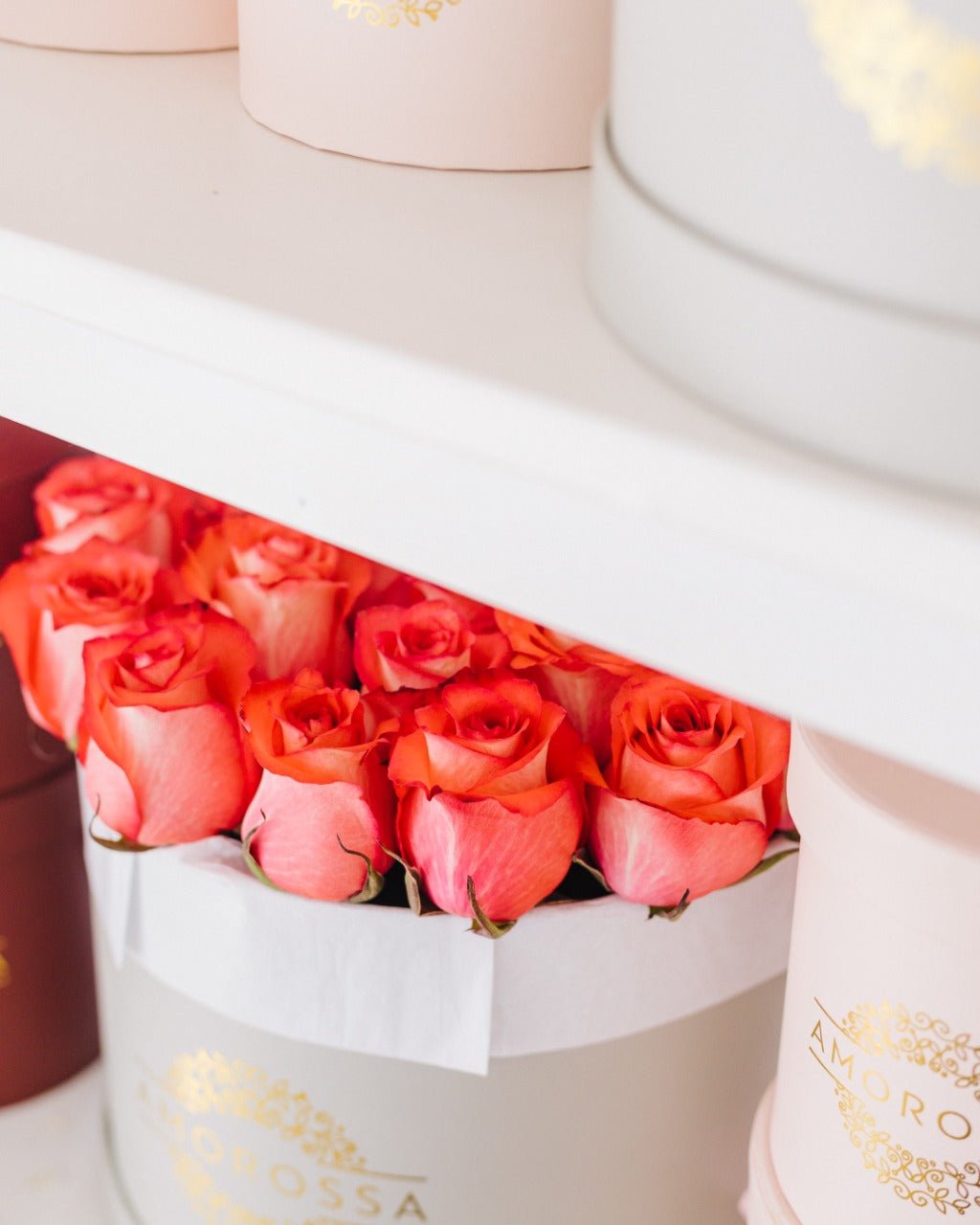 Regala LEHAVÁ 24 - AMOROSSA