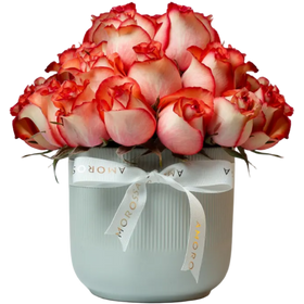 Regala Orange Breeze - AMOROSSA