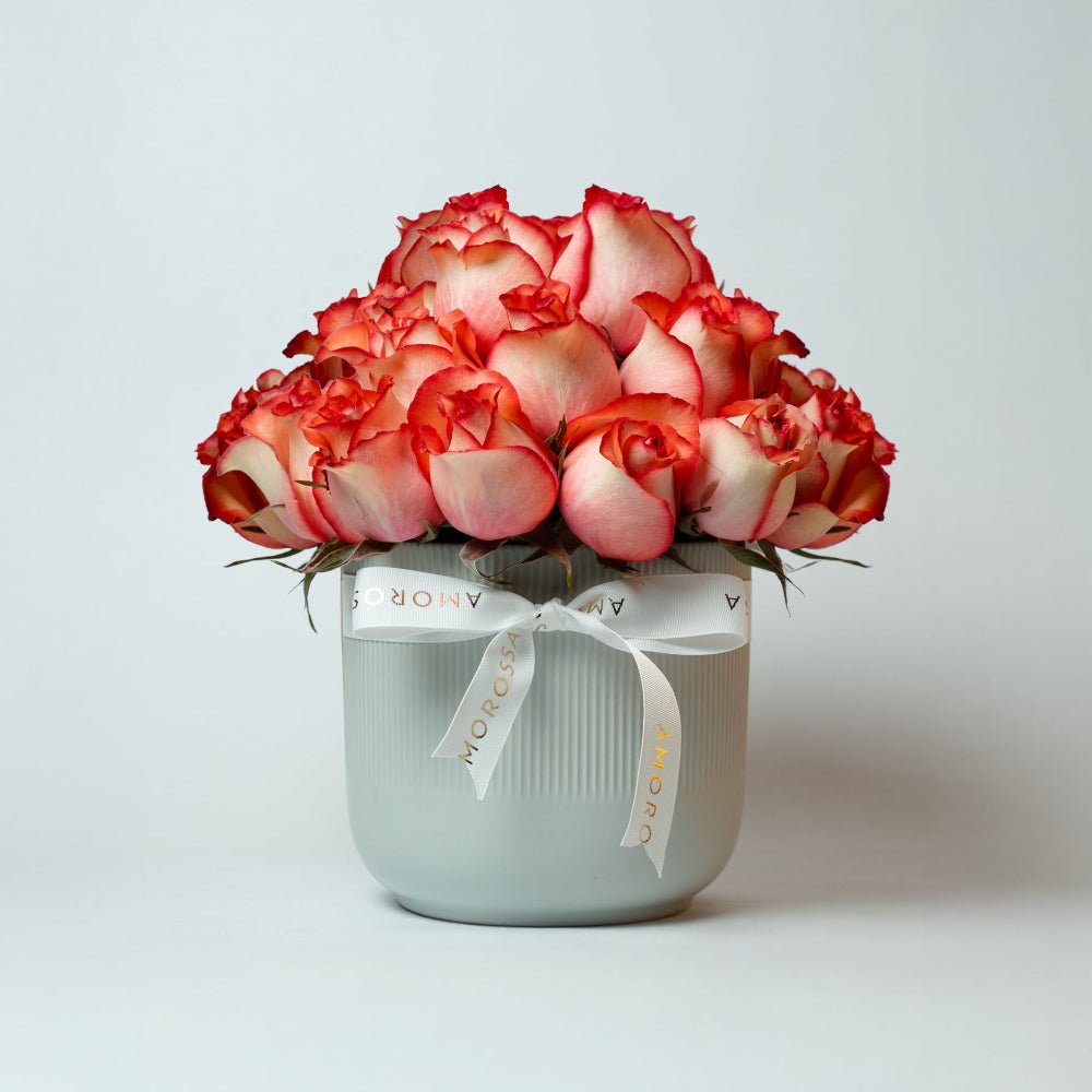 Regala Orange Breeze - AMOROSSA