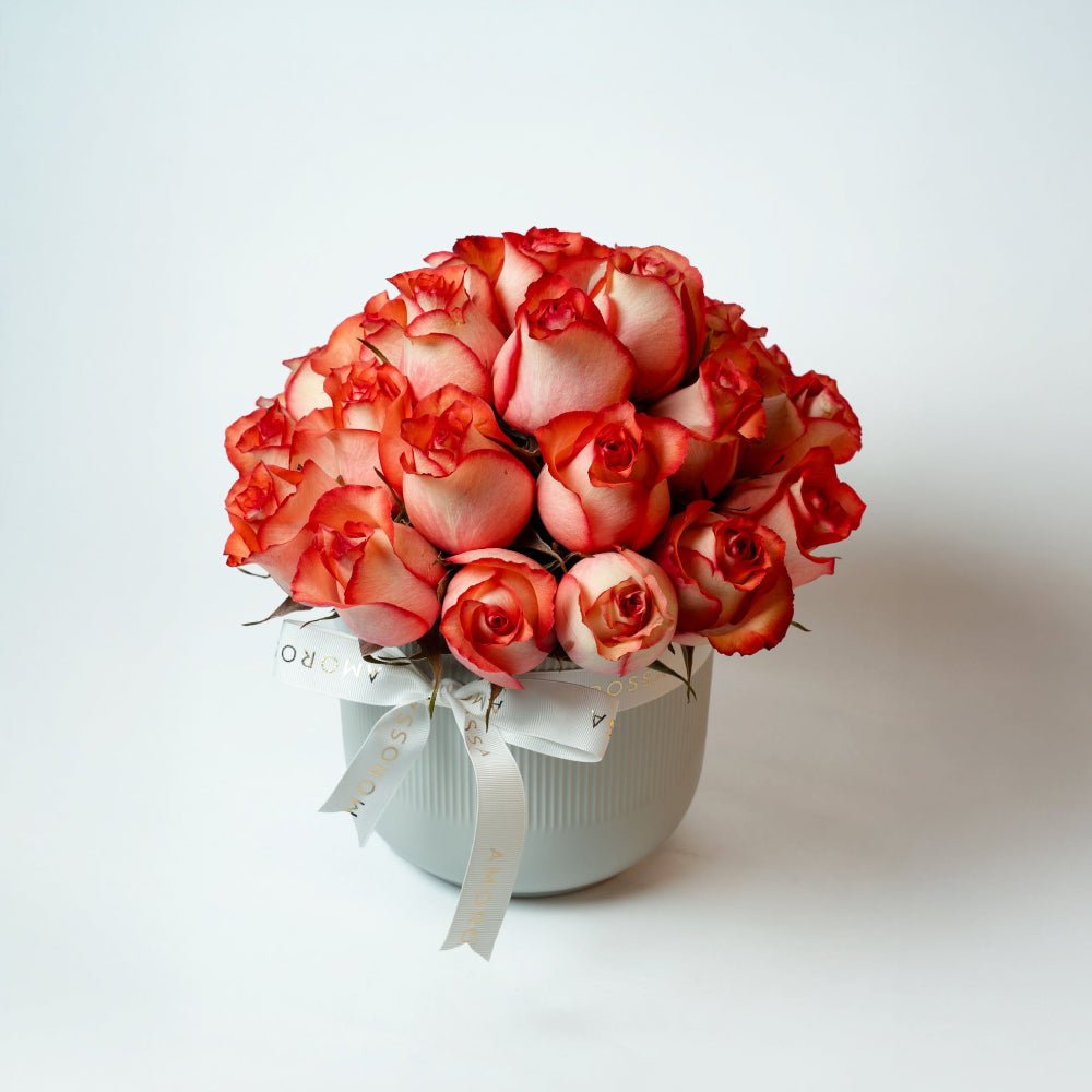 Regala Orange Breeze - AMOROSSA