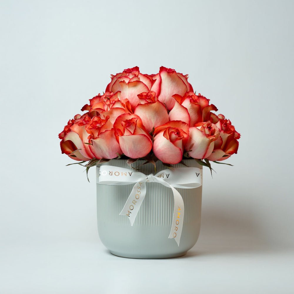 Regala Orange Breeze - AMOROSSA