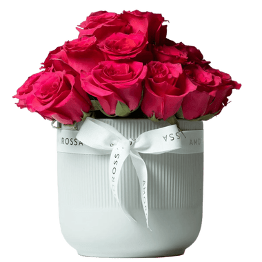 Regala Pink Breeze - AMOROSSA