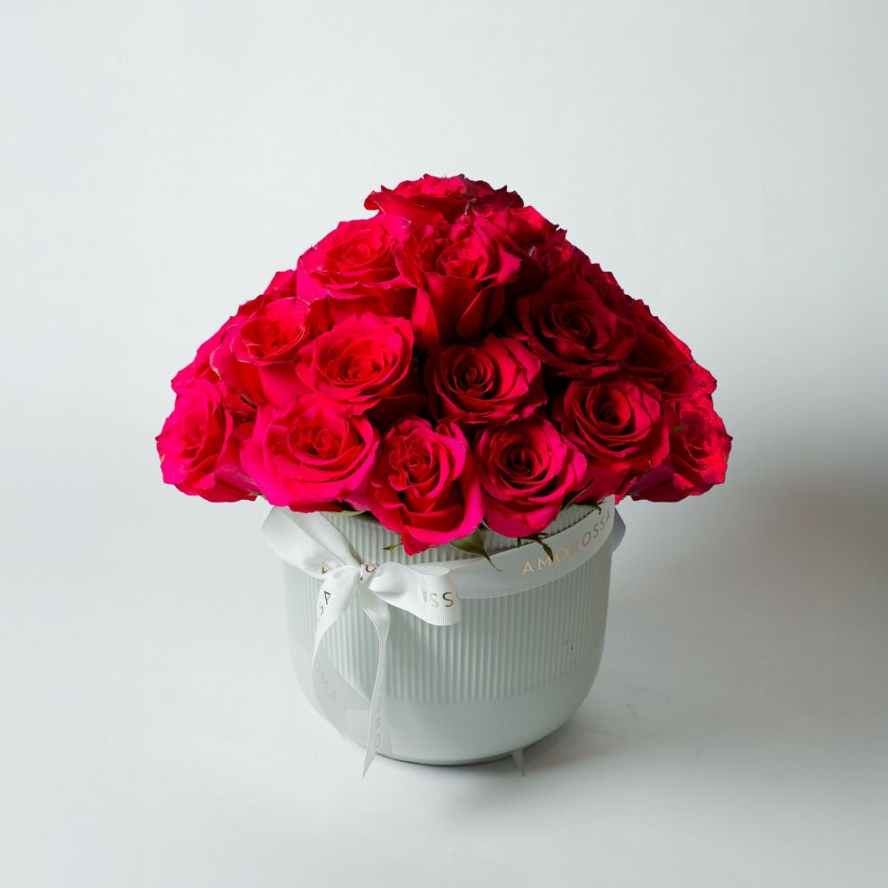 Regala Pink Breeze - AMOROSSA