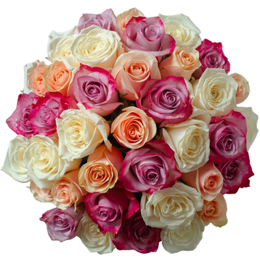 AMOROSSA - PRIMAVERA 36 - Mixed bouquet of 36 cream, peach, and purple roses for regalar flores and mandar rosas delivery rapido de flores from.