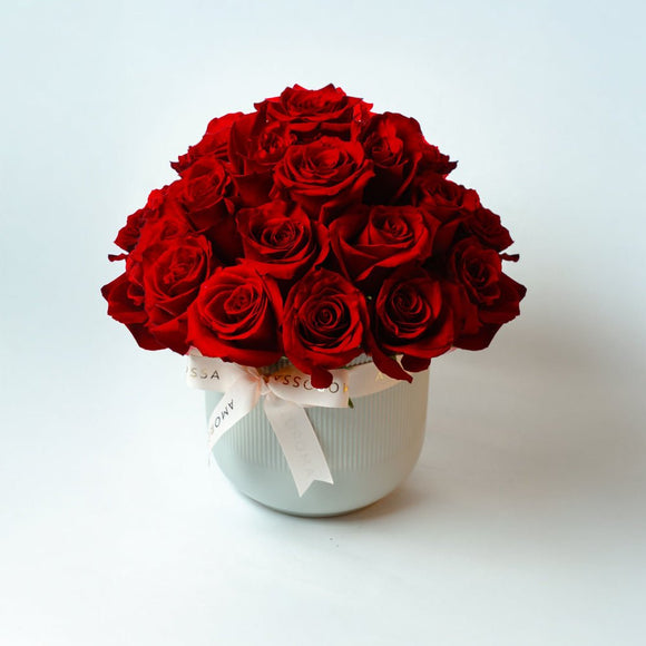 Regala Red Breeze - AMOROSSA