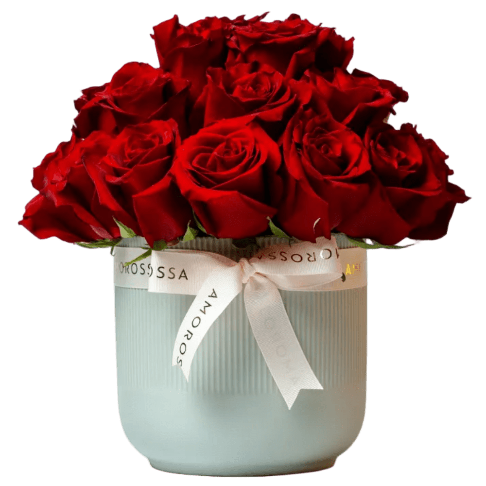 Regala Red Breeze - AMOROSSA