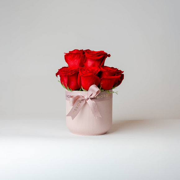 Regala Red Euphoria - AMOROSSA