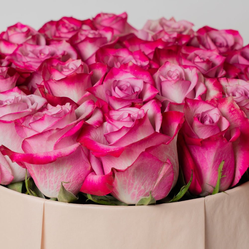 Regala SAGOL 24 - Pink Box - AMOROSSA