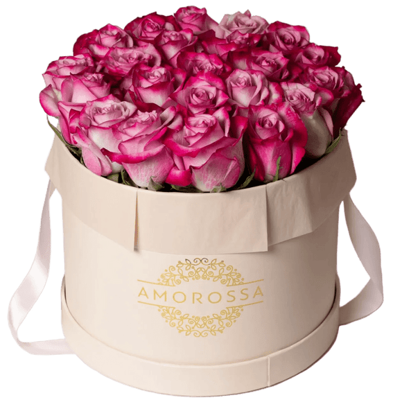 Regala SAGOL 24 - Pink Box - AMOROSSA