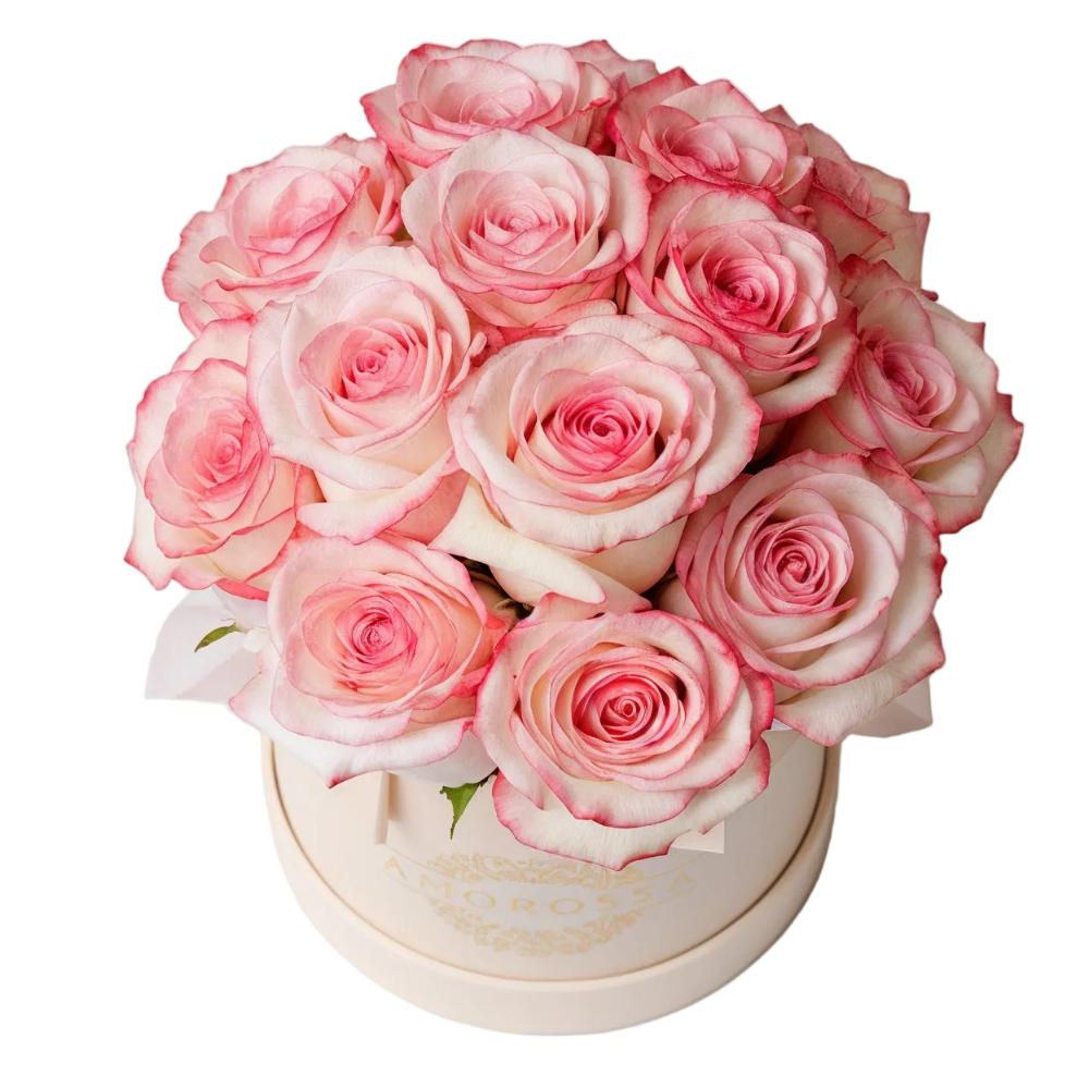 Regala Varod 12 Pink Box - AMOROSSA