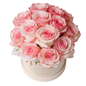 Regala Varod 12 Pink Box - AMOROSSA