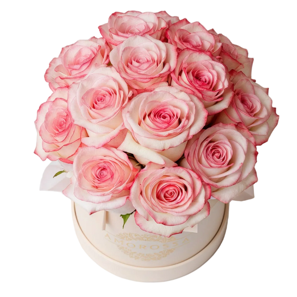 Regala Varod 12 Pink Box - AMOROSSA