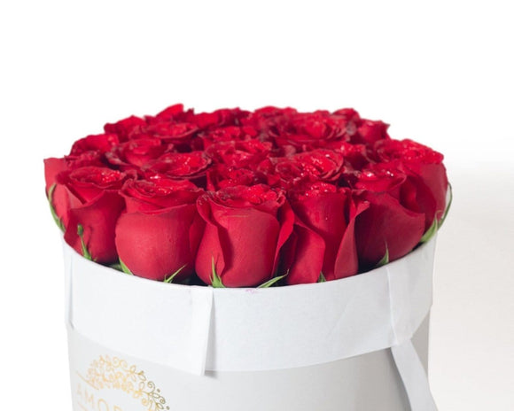AMOROSSA - ADOM 24 - Round white box of vibrant red roses from Amorossa, perfect to regalar flores and enviar flores with delivery rapido de.