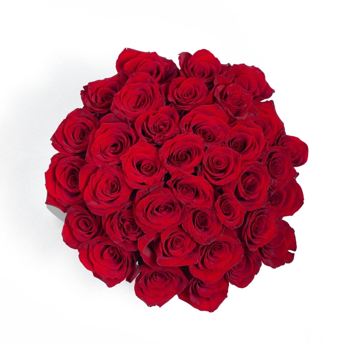 Regala ADOM 36 - AMOROSSA