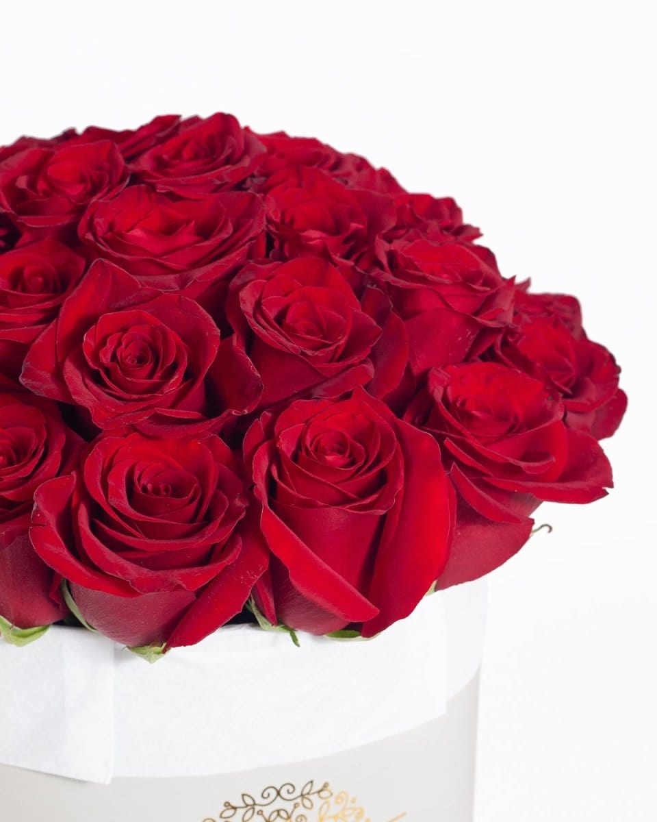 Regala ADOM 36 - AMOROSSA