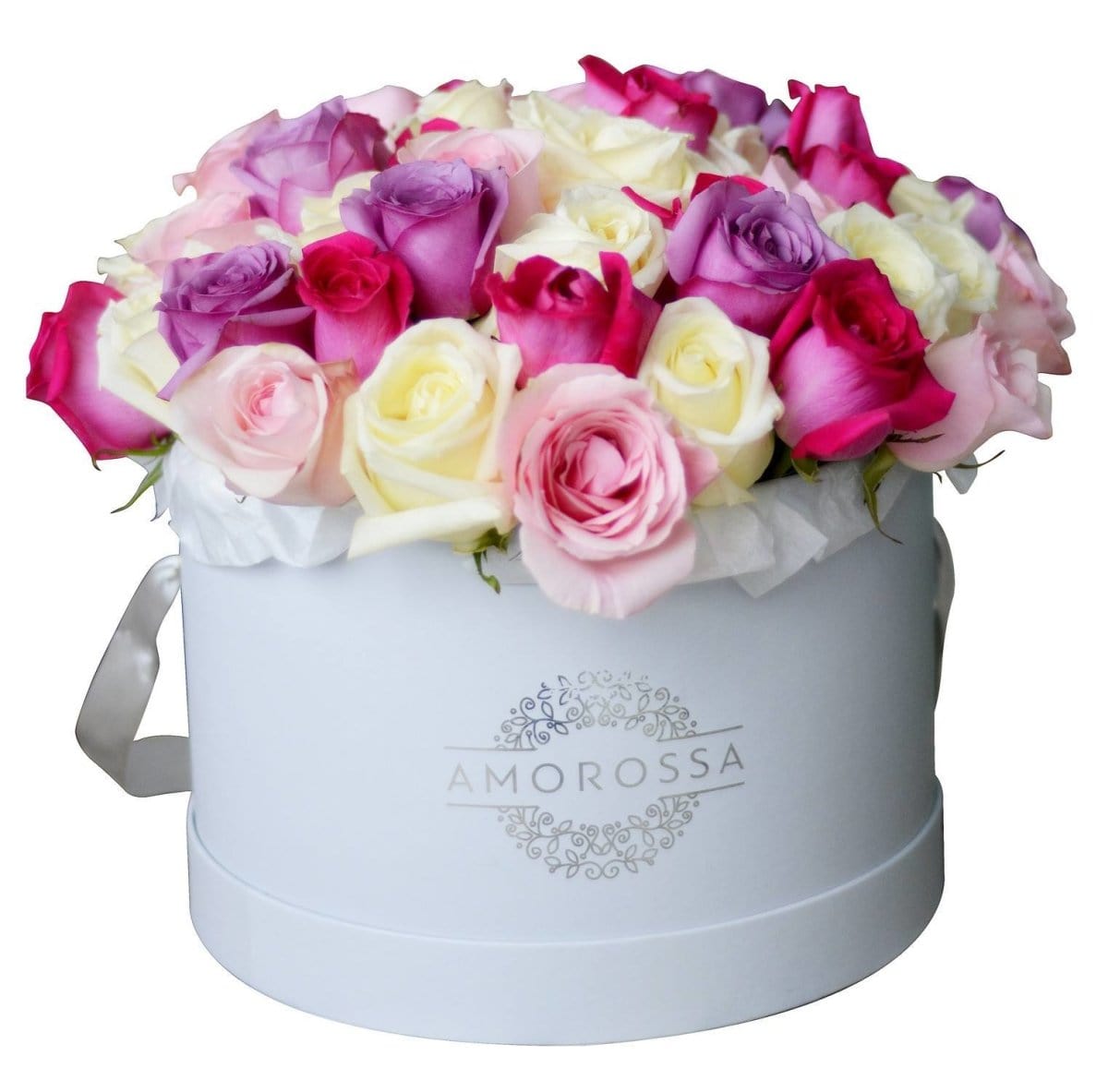 Regala AMOROSSA 36 - AMOROSSA