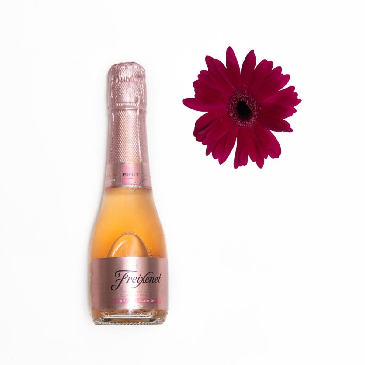 Regala Blooming Carnations & Cavita - AMOROSSA