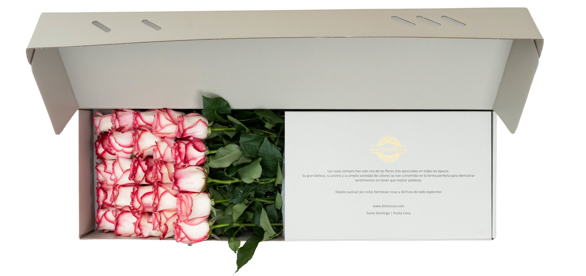 Regala Carrousel Rose Box - AMOROSSA