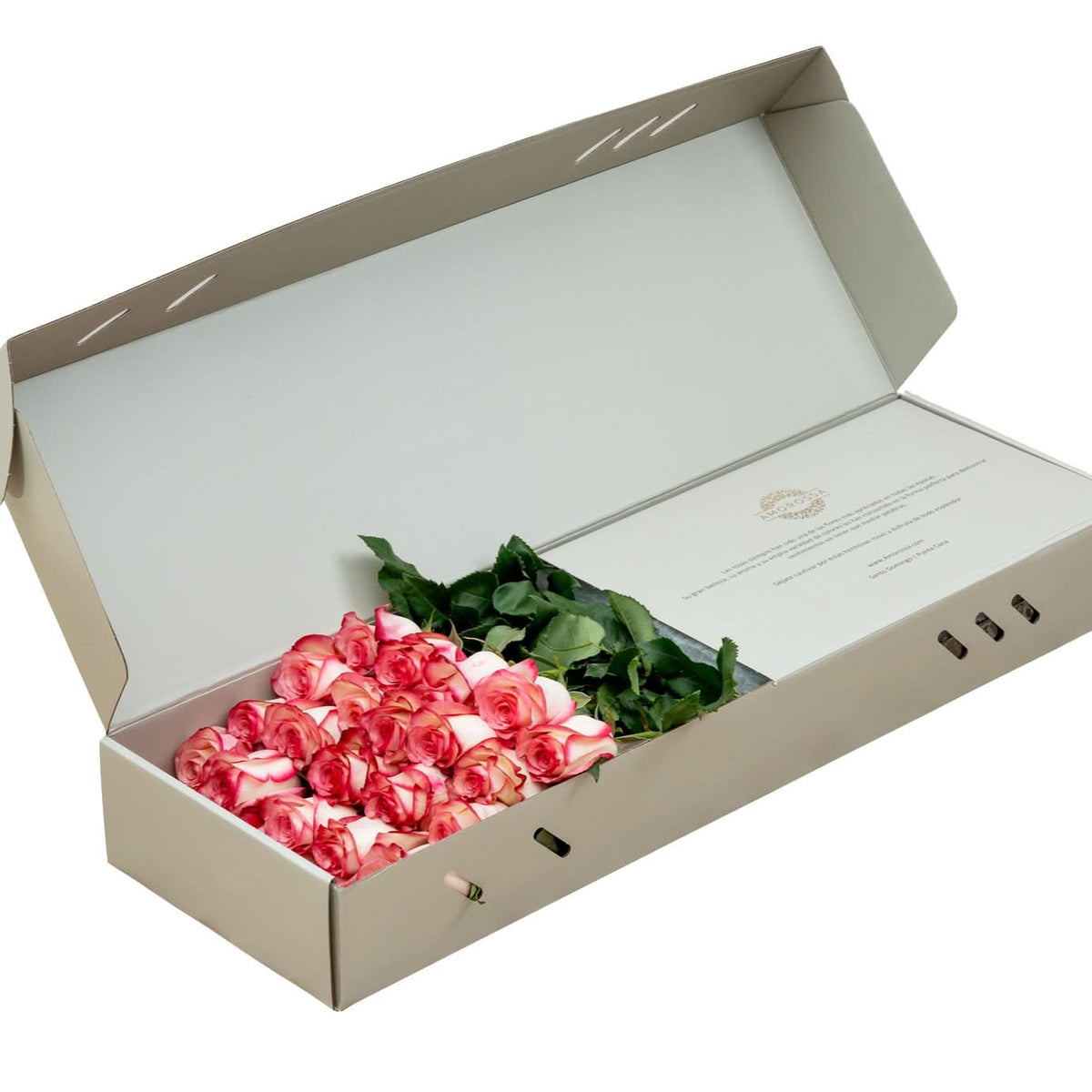 Carrousel Rose Box