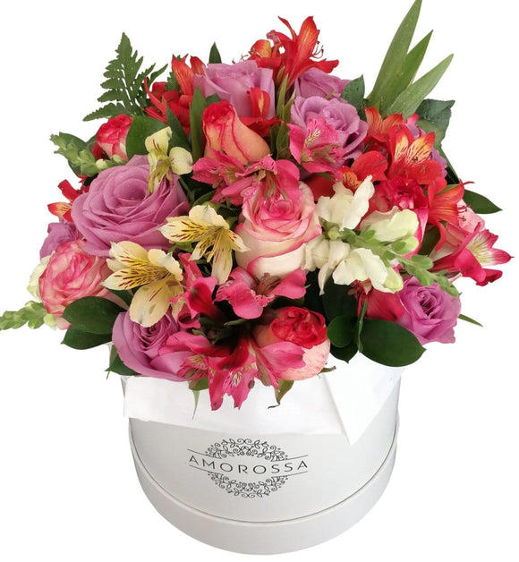 AMOROSSA - Celebration 24 - Elegant pink and red rose arrangement with mixed flowers in white Amorossa box for Regalar Flores and Delivery rapido de.
