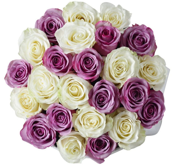 AMOROSSA - Creme Sagol - White round box filled with purple and white roses, elegant floral arrangement for regalar flores and enviar flores with.