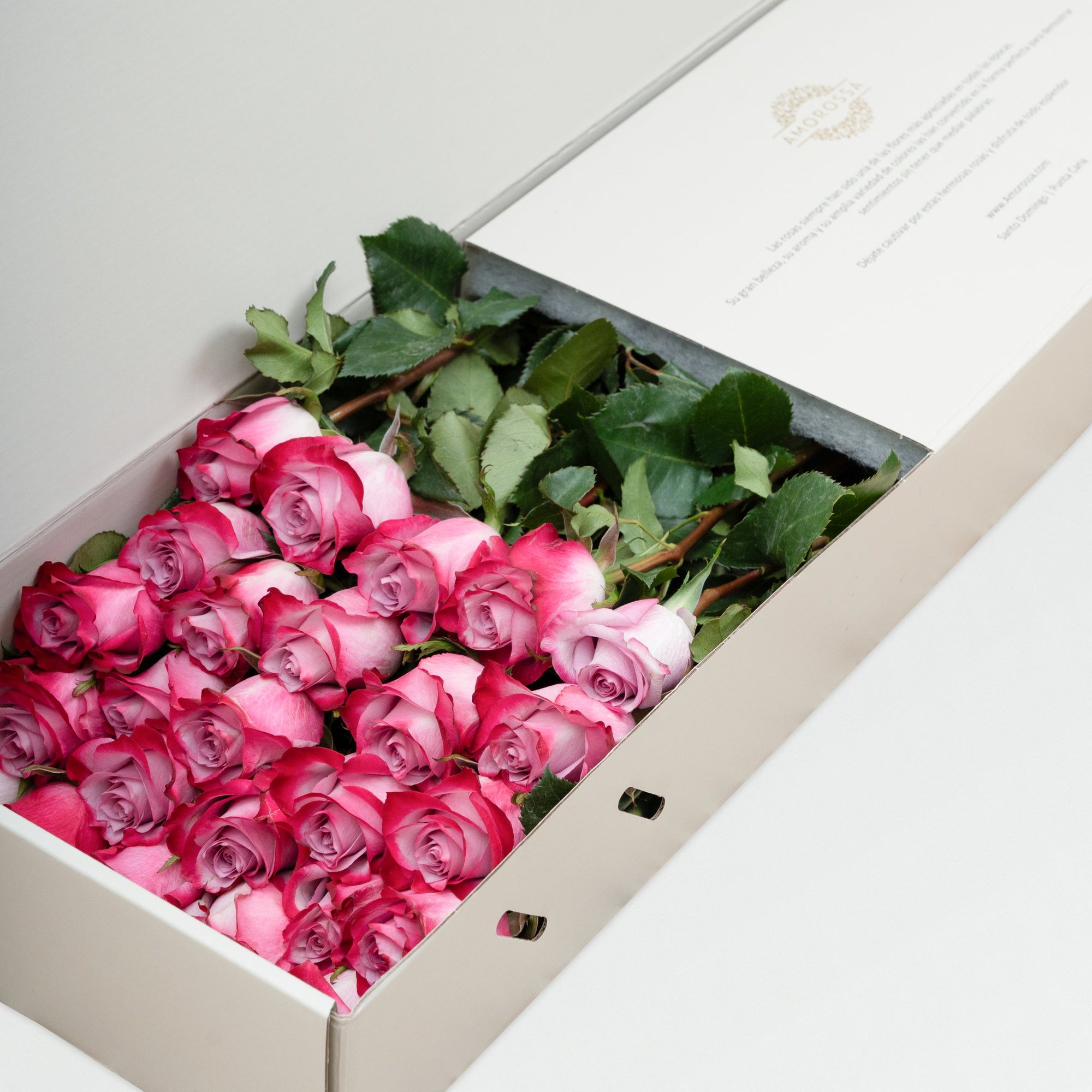 Regala Deep Purple Box - AMOROSSA