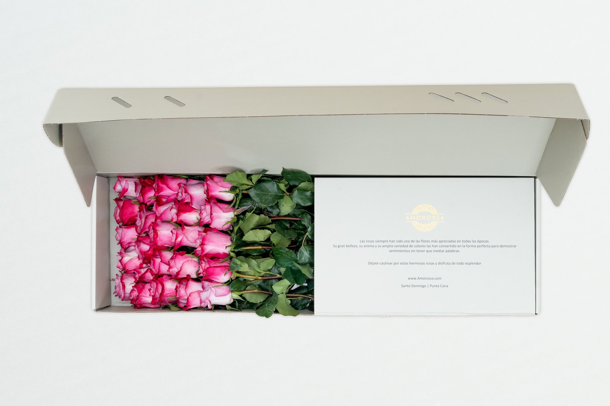 Regala Deep Purple Box - AMOROSSA