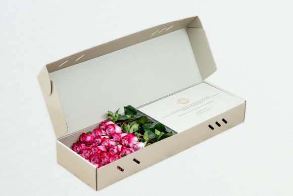 Regala Deep Purple Box - AMOROSSA