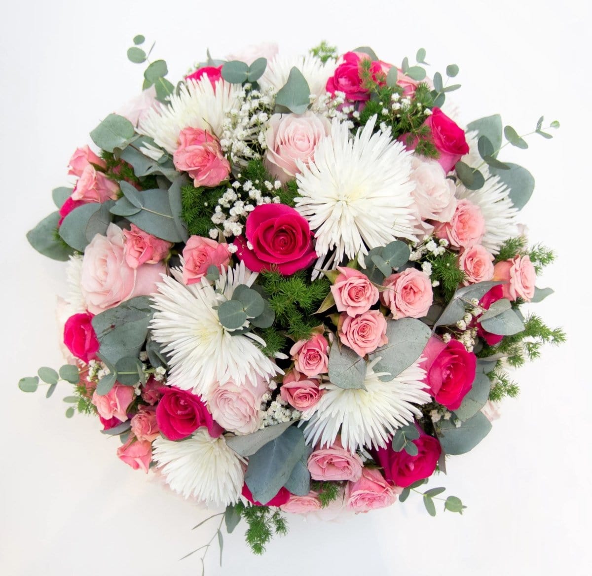 Regala Elegant Blush - AMOROSSA