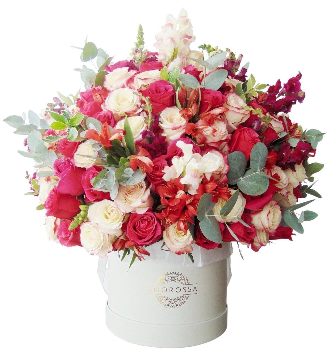 Regala Extravaganza 150 - AMOROSSA