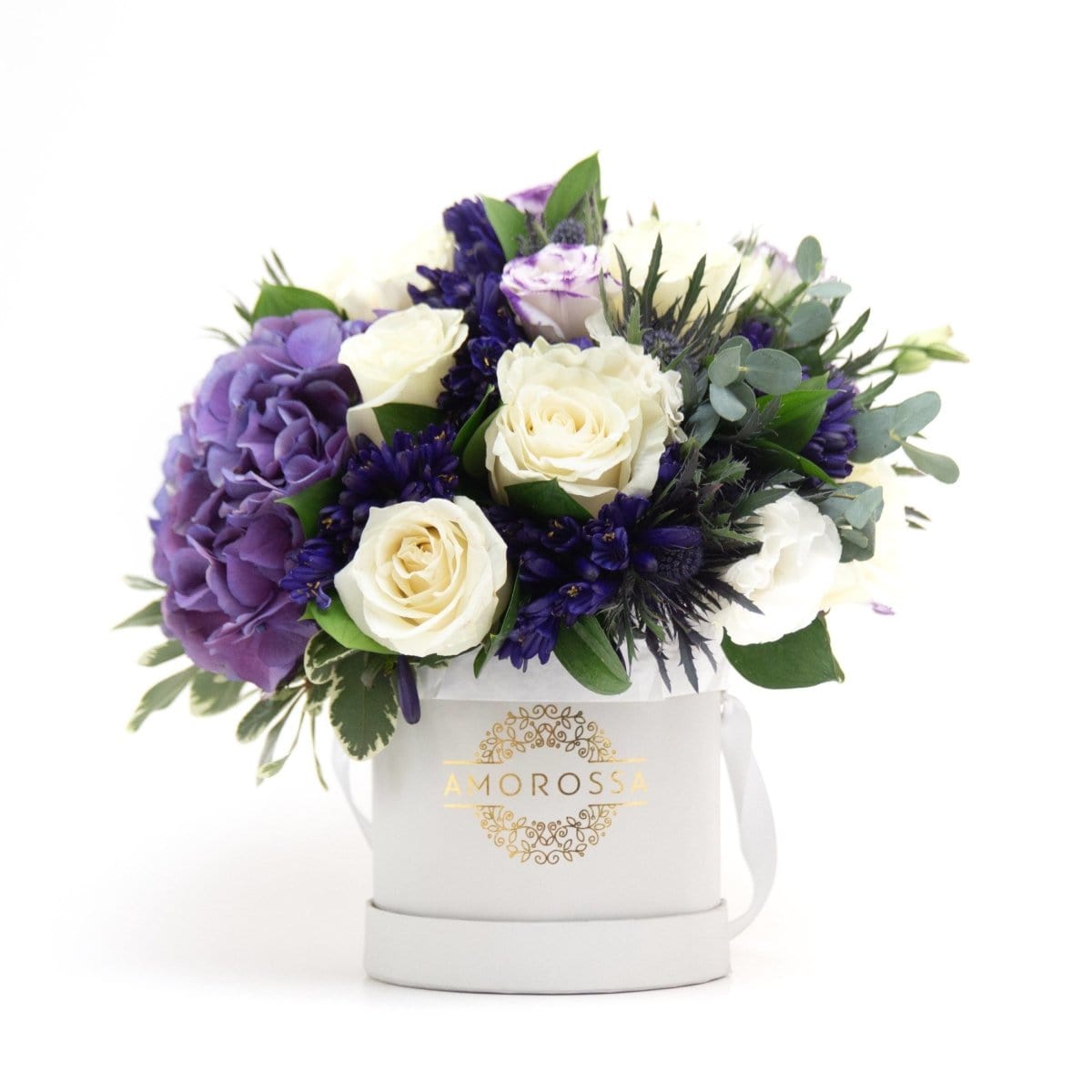 Regala Fields of Provence - AMOROSSA