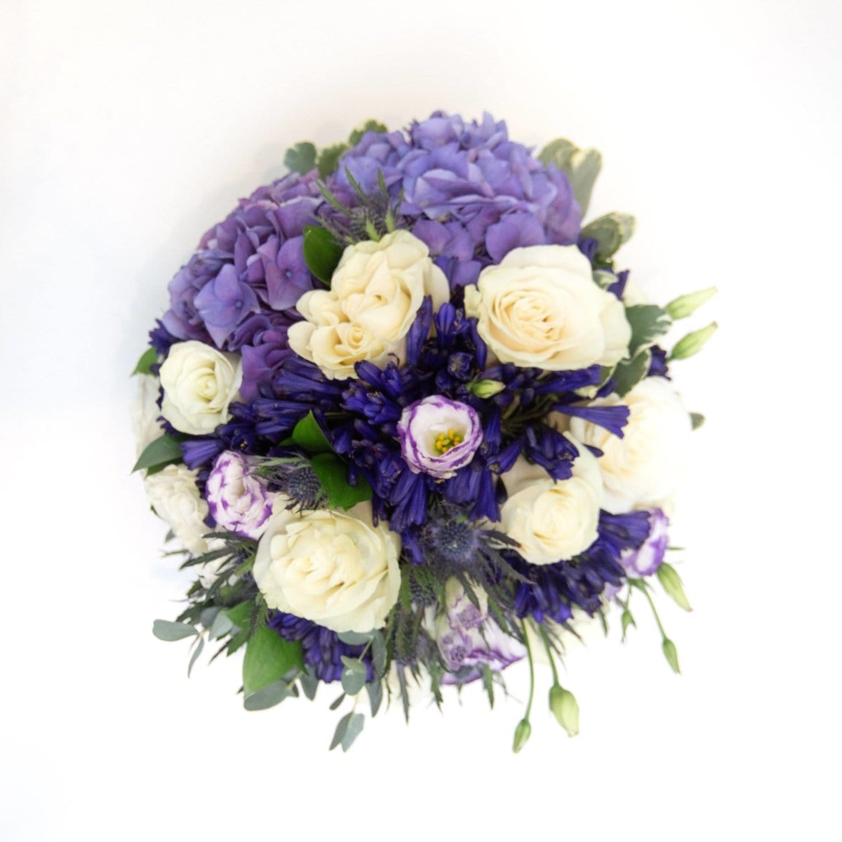 Regala Fields of Provence - AMOROSSA