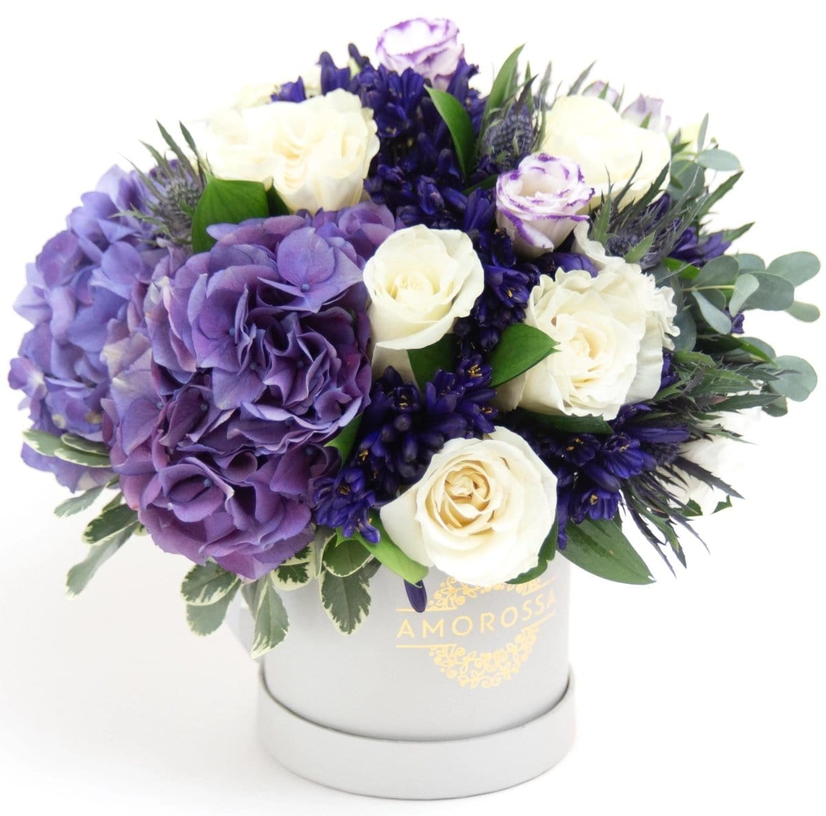 Regala Fields of Provence - AMOROSSA