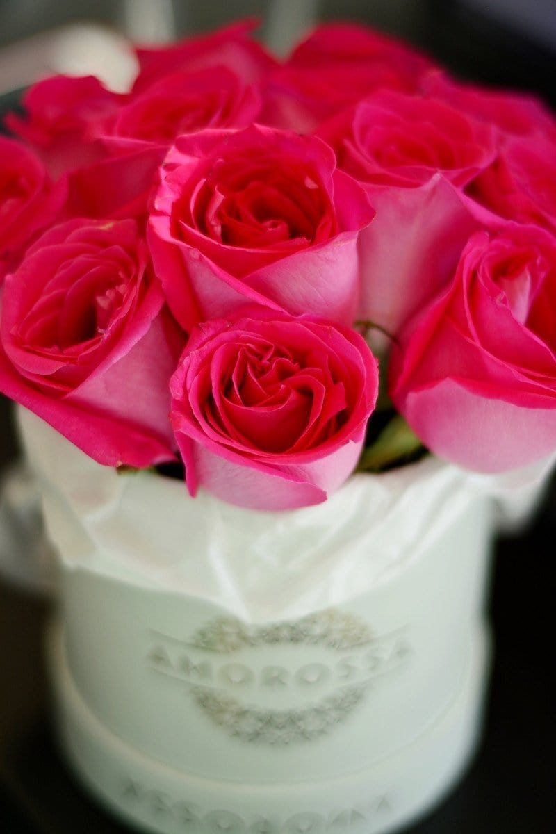 Regala FUCSIA 12 - AMOROSSA