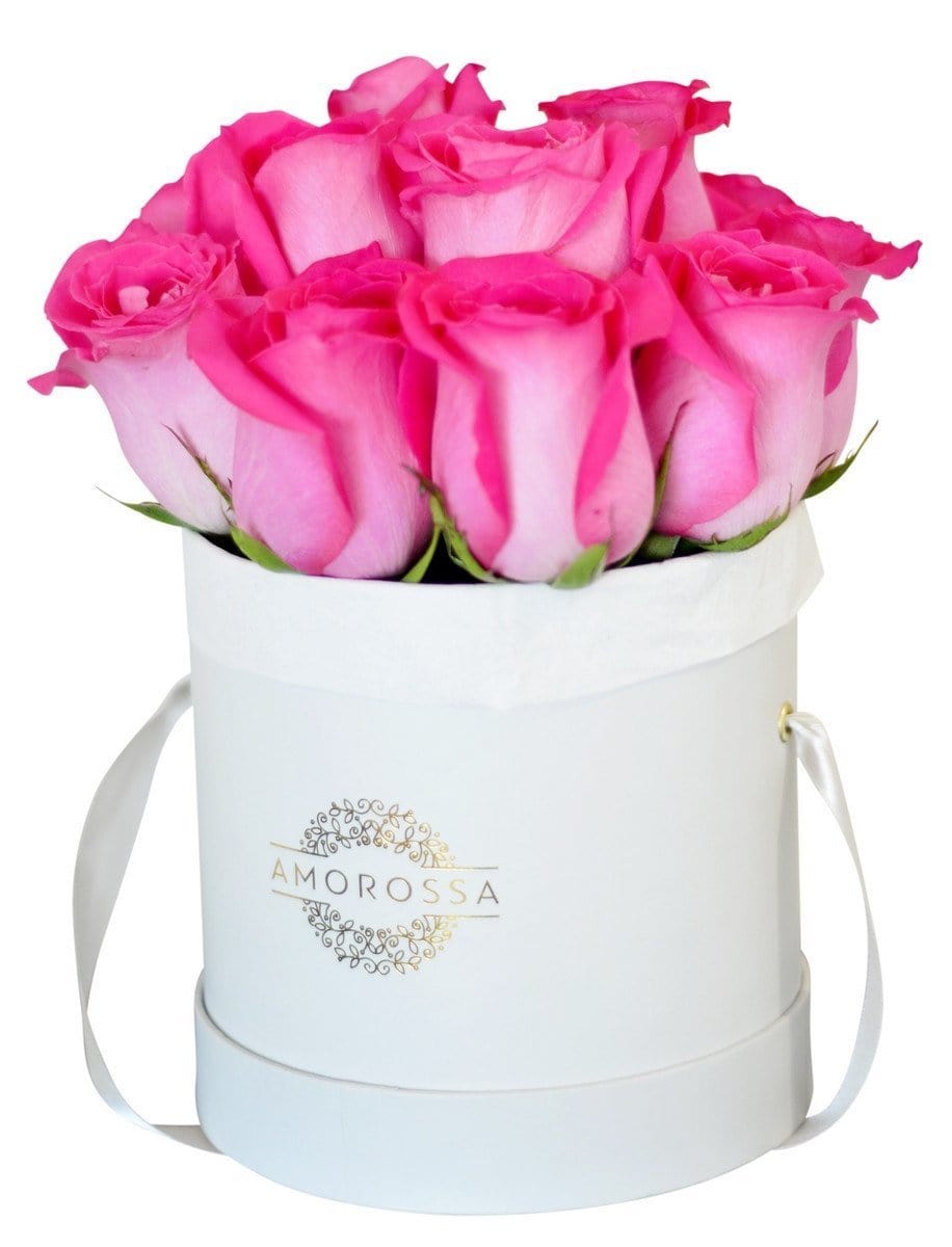 Regala FUCSIA 12 - AMOROSSA