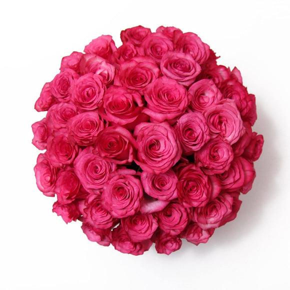 AMOROSSA - FUCSIA 48 - Luxurious fucsia roses arranged in elegant white box for Regalar Flores and Enviar Flores delivery.