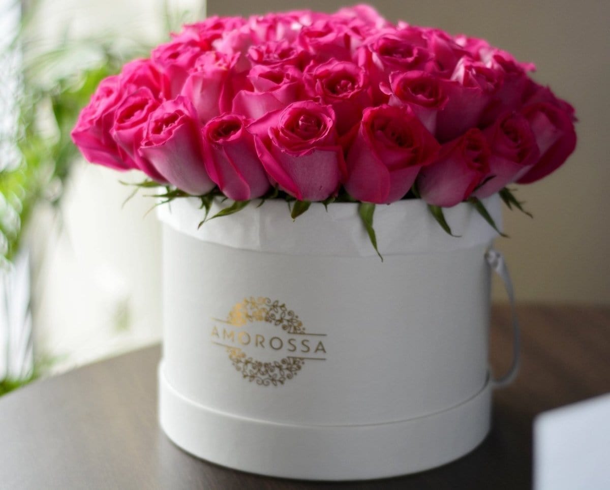 Regala FUCSIA 48 - AMOROSSA