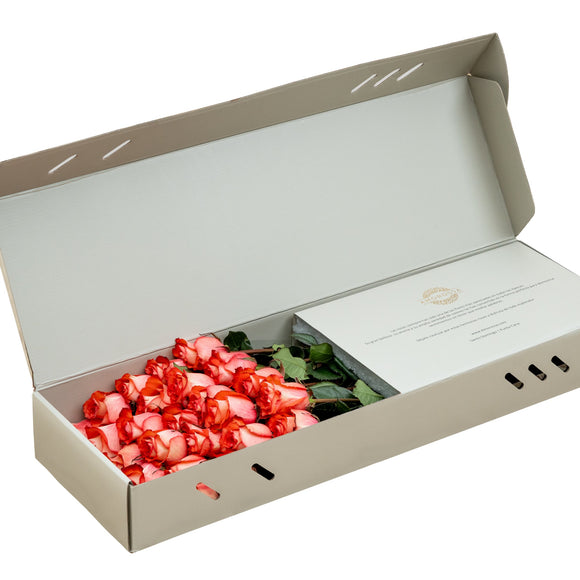 Regala Iguana Rose Box - AMOROSSA