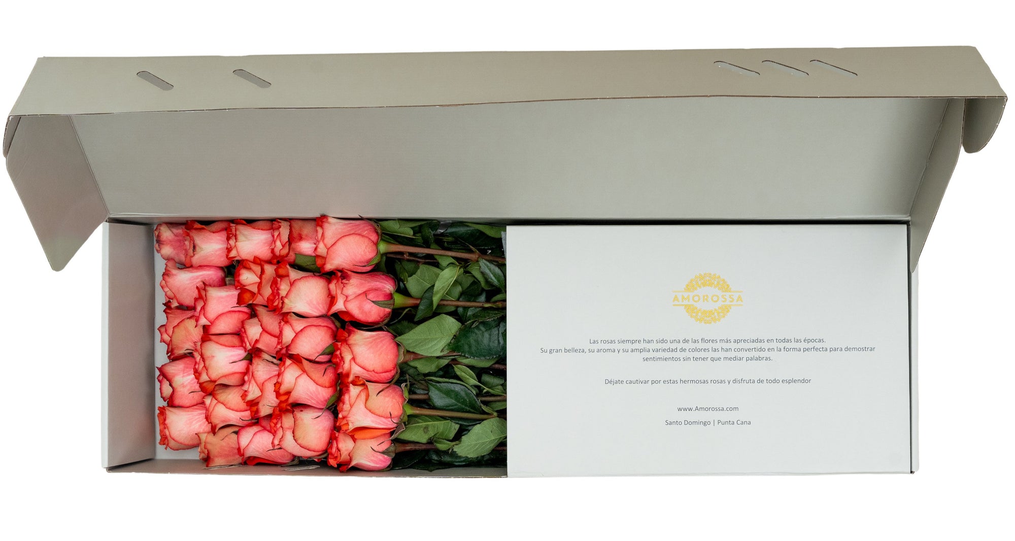 Regala Iguana Rose Box - AMOROSSA