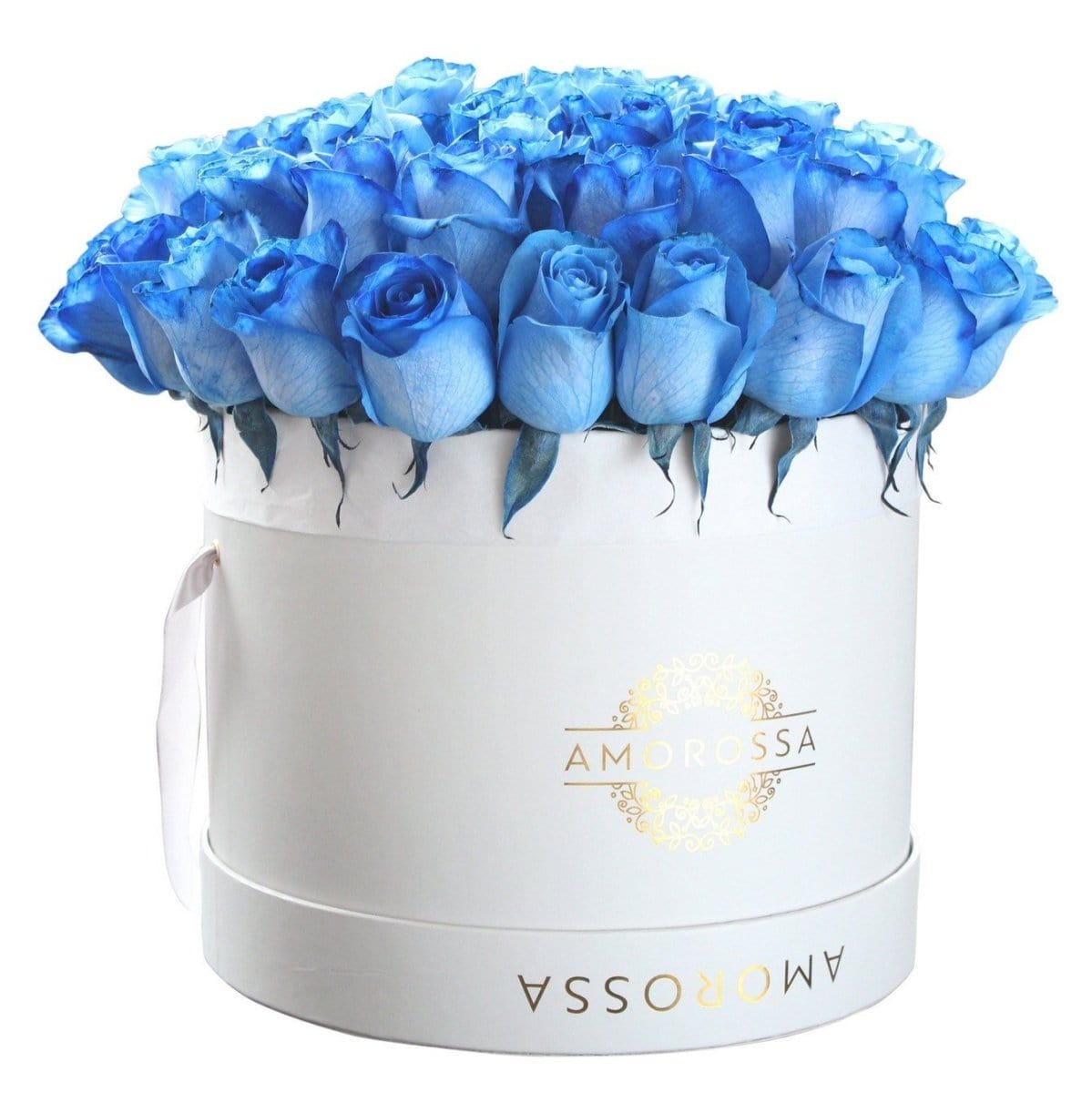 Regala Kajol 48 - AMOROSSA