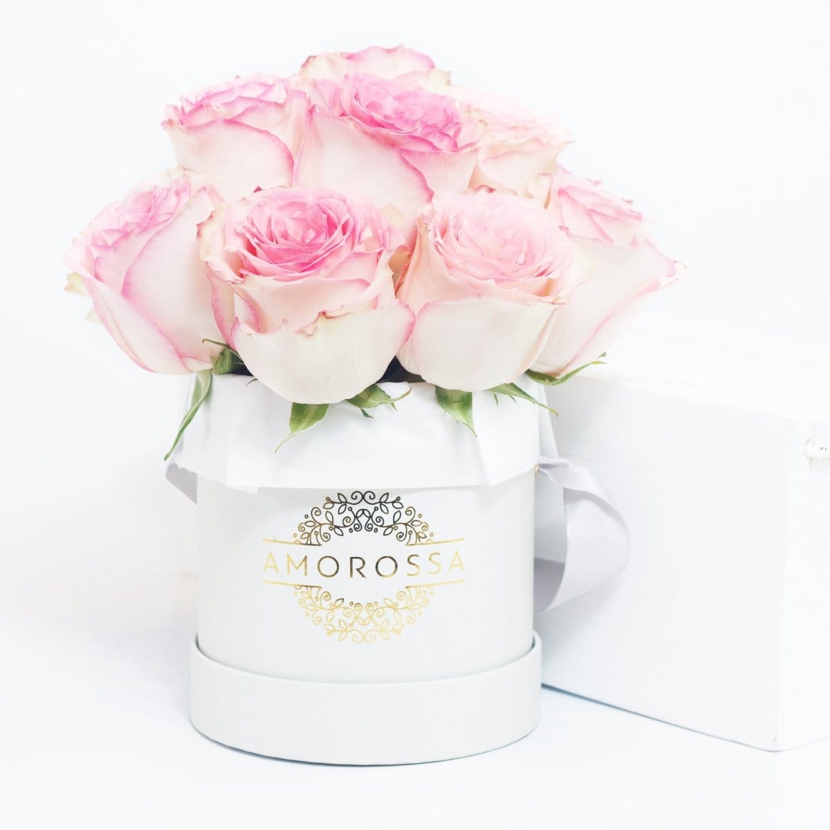 Regala Kit Baby Dolphin - AMOROSSA