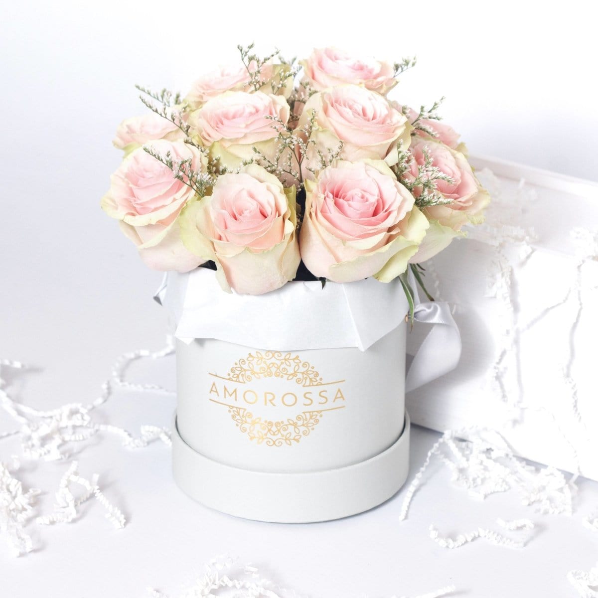 Regala Kit Baby Dolphin - AMOROSSA