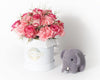 Regala Kit Baby Elephant - AMOROSSA