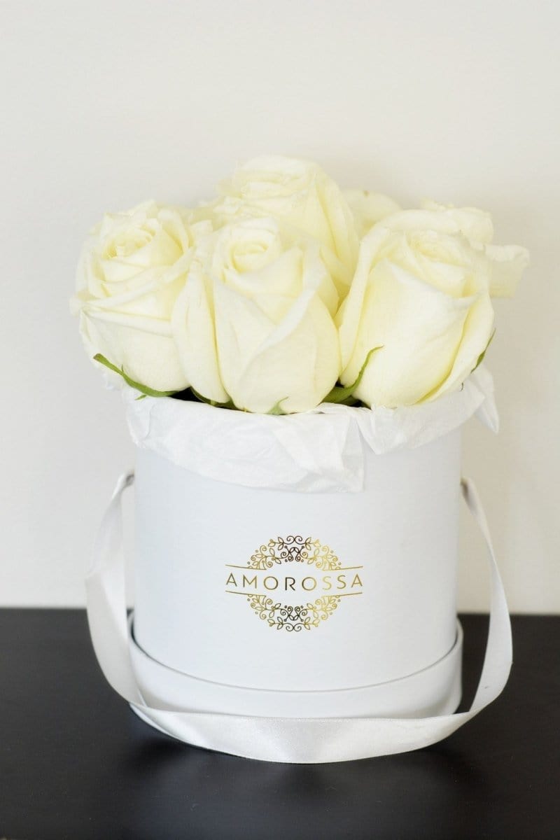 Regala LAVAN 12 - AMOROSSA